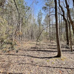Photo #25 of SOLD property in Off Indian Neck Road, Newtown, VA 12.0 acres