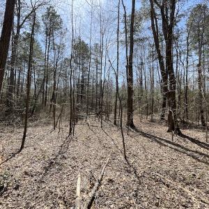 Photo #26 of SOLD property in Off Indian Neck Road, Newtown, VA 12.0 acres