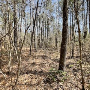Photo #27 of SOLD property in Off Indian Neck Road, Newtown, VA 12.0 acres