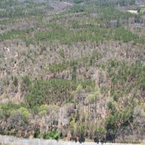 Photo #3 of SOLD property in Off Indian Neck Road, Newtown, VA 12.0 acres