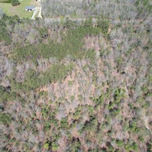 Photo #5 of SOLD property in Off Indian Neck Road, Newtown, VA 12.0 acres