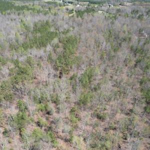 Photo #6 of SOLD property in Off Indian Neck Road, Newtown, VA 12.0 acres
