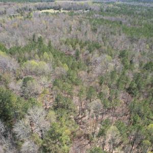 Photo #7 of SOLD property in Off Indian Neck Road, Newtown, VA 12.0 acres