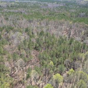 Photo #8 of SOLD property in Off Indian Neck Road, Newtown, VA 12.0 acres