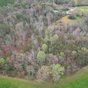 Photo #10 of SOLD property in Off Root Swamp Road, Milford, VA 6.5 acres