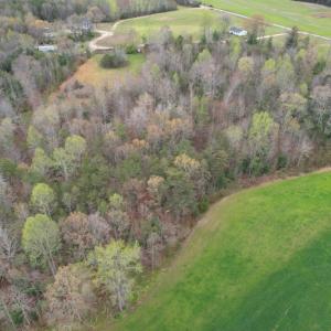Photo #11 of SOLD property in Off Root Swamp Road, Milford, VA 6.5 acres