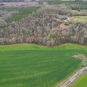 Photo #12 of SOLD property in Off Root Swamp Road, Milford, VA 6.5 acres