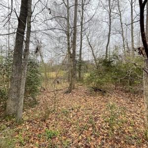 Photo #14 of SOLD property in Off Root Swamp Road, Milford, VA 6.5 acres