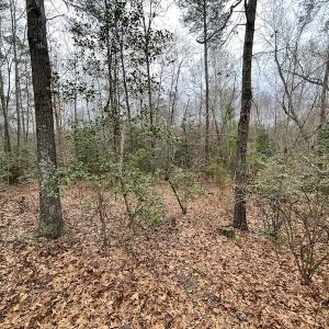 Photo #15 of SOLD property in Off Root Swamp Road, Milford, VA 6.5 acres