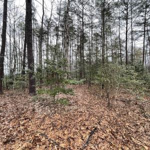 Photo #16 of SOLD property in Off Root Swamp Road, Milford, VA 6.5 acres