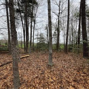 Photo #17 of SOLD property in Off Root Swamp Road, Milford, VA 6.5 acres