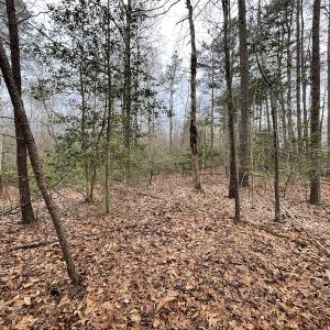 Photo #18 of SOLD property in Off Root Swamp Road, Milford, VA 6.5 acres