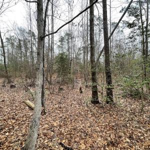 Photo #19 of SOLD property in Off Root Swamp Road, Milford, VA 6.5 acres