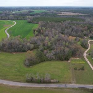 Photo #2 of SOLD property in Off Root Swamp Road, Milford, VA 6.5 acres