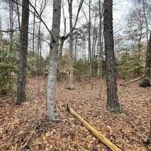 Photo #20 of SOLD property in Off Root Swamp Road, Milford, VA 6.5 acres