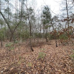 Photo #21 of SOLD property in Off Root Swamp Road, Milford, VA 6.5 acres
