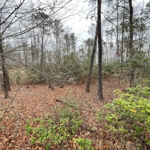 Photo #23 of SOLD property in Off Root Swamp Road, Milford, VA 6.5 acres