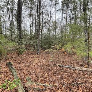 Photo #24 of SOLD property in Off Root Swamp Road, Milford, VA 6.5 acres