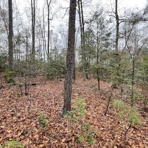 Photo #25 of SOLD property in Off Root Swamp Road, Milford, VA 6.5 acres
