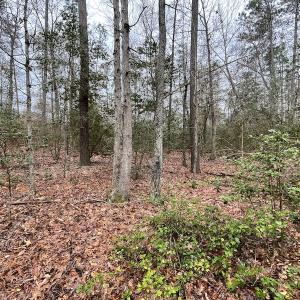 Photo #26 of SOLD property in Off Root Swamp Road, Milford, VA 6.5 acres