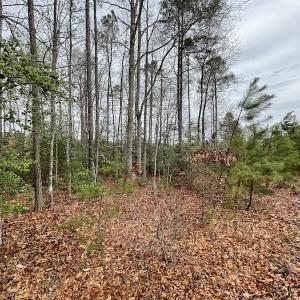 Photo #28 of SOLD property in Off Root Swamp Road, Milford, VA 6.5 acres