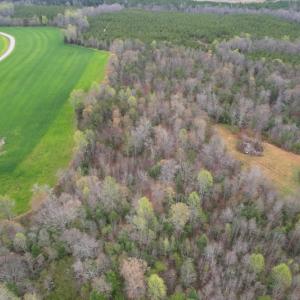 Photo #3 of SOLD property in Off Root Swamp Road, Milford, VA 6.5 acres