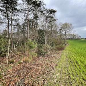 Photo #32 of SOLD property in Off Root Swamp Road, Milford, VA 6.5 acres