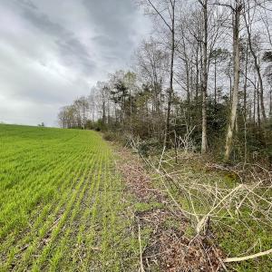 Photo #33 of SOLD property in Off Root Swamp Road, Milford, VA 6.5 acres