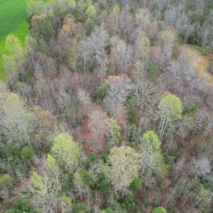 Photo #4 of SOLD property in Off Root Swamp Road, Milford, VA 6.5 acres