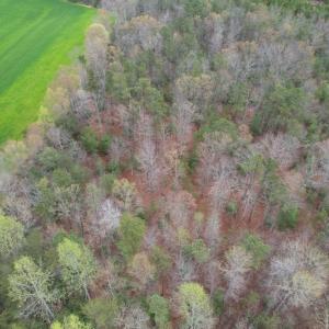 Photo #6 of SOLD property in Off Root Swamp Road, Milford, VA 6.5 acres