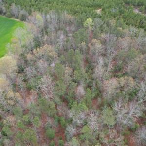Photo #7 of SOLD property in Off Root Swamp Road, Milford, VA 6.5 acres