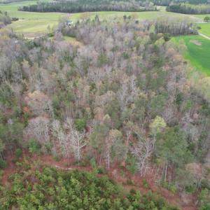 Photo #8 of SOLD property in Off Root Swamp Road, Milford, VA 6.5 acres