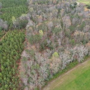 Photo #9 of SOLD property in Off Root Swamp Road, Milford, VA 6.5 acres