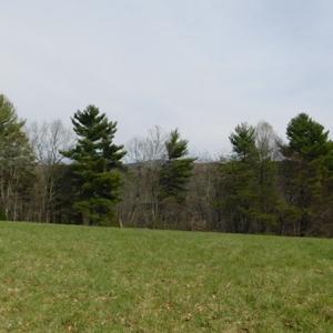 Photo #6 of SOLD property in Off Sylvatus Hwy, Hillsville, VA 42.4 acres