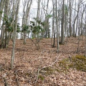 Photo #10 of SOLD property in Off Sylvatus Hwy, Hillsville, VA 42.4 acres