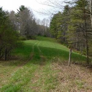 Photo #11 of SOLD property in Off Sylvatus Hwy, Hillsville, VA 42.4 acres