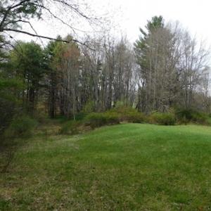 Photo #12 of SOLD property in Off Sylvatus Hwy, Hillsville, VA 42.4 acres