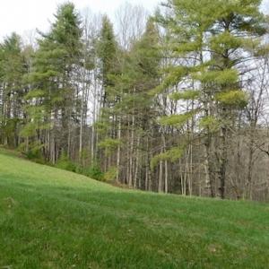 Photo #13 of SOLD property in Off Sylvatus Hwy, Hillsville, VA 42.4 acres