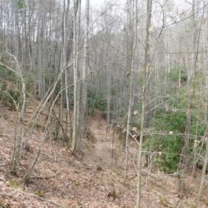 Photo #15 of SOLD property in Off Sylvatus Hwy, Hillsville, VA 42.4 acres