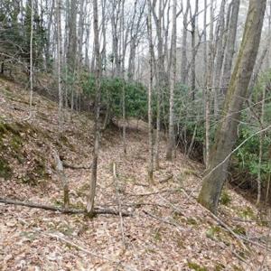 Photo #16 of SOLD property in Off Sylvatus Hwy, Hillsville, VA 42.4 acres