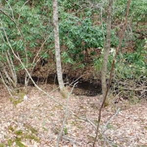 Photo #22 of SOLD property in Off Sylvatus Hwy, Hillsville, VA 42.4 acres