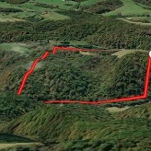 Photo #39 of SOLD property in Off Sylvatus Hwy, Hillsville, VA 42.4 acres