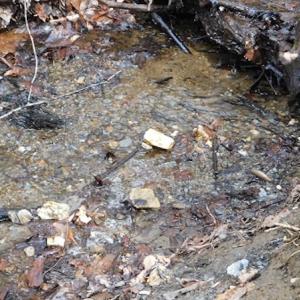 Photo #23 of SOLD property in Off Sylvatus Hwy, Hillsville, VA 42.4 acres