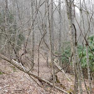Photo #25 of SOLD property in Off Sylvatus Hwy, Hillsville, VA 42.4 acres