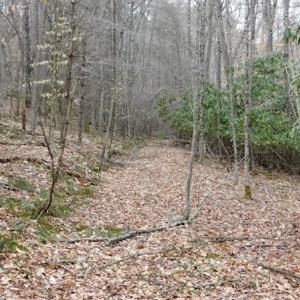 Photo #27 of SOLD property in Off Sylvatus Hwy, Hillsville, VA 42.4 acres