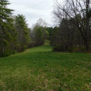 Photo #34 of SOLD property in Off Sylvatus Hwy, Hillsville, VA 42.4 acres