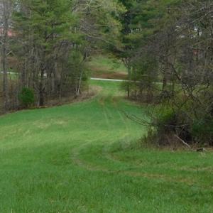 Photo #35 of SOLD property in Off Sylvatus Hwy, Hillsville, VA 42.4 acres