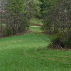 Photo #35 of SOLD property in Off Sylvatus Hwy, Hillsville, VA 42.4 acres