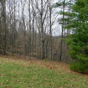 Photo #36 of SOLD property in Off Sylvatus Hwy, Hillsville, VA 42.4 acres