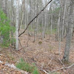 Photo #37 of SOLD property in Off Sylvatus Hwy, Hillsville, VA 42.4 acres